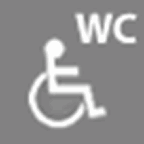 Disabled toilets 